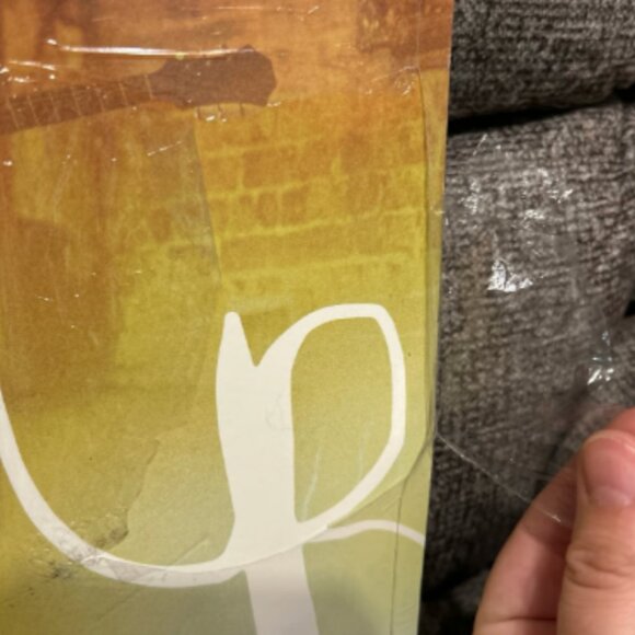 LIKE NEW James Bay Vinyl Leap PARTIALLY SEALED NEVER USED - Picture 2 of 3